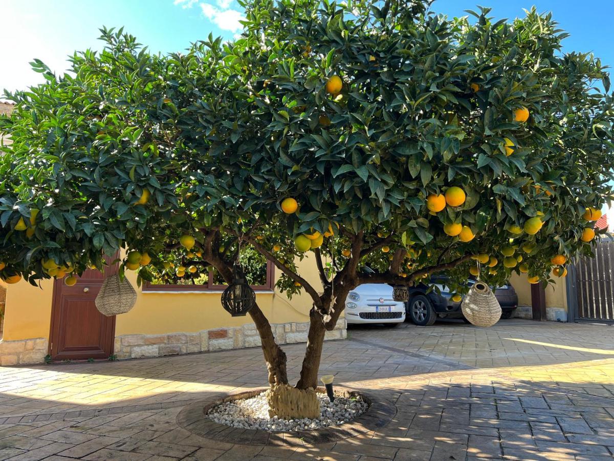 B&B Templi E Arte Villaggio Mosè Eksteriør billede